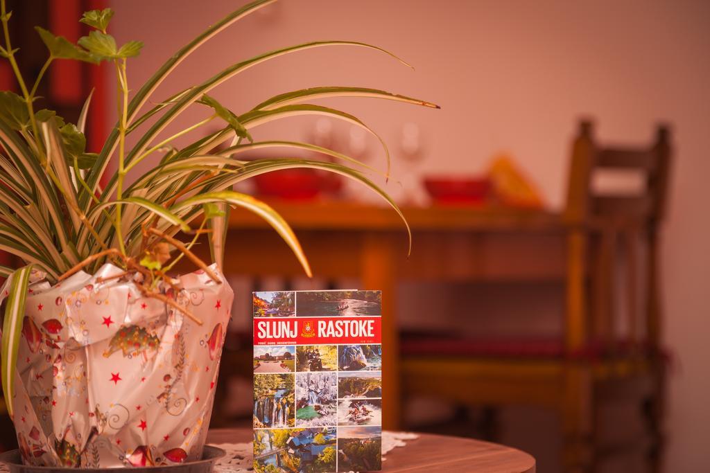 Apartment Zalac Slunj Dış mekan fotoğraf